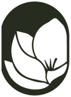 Laguna Magnólia
